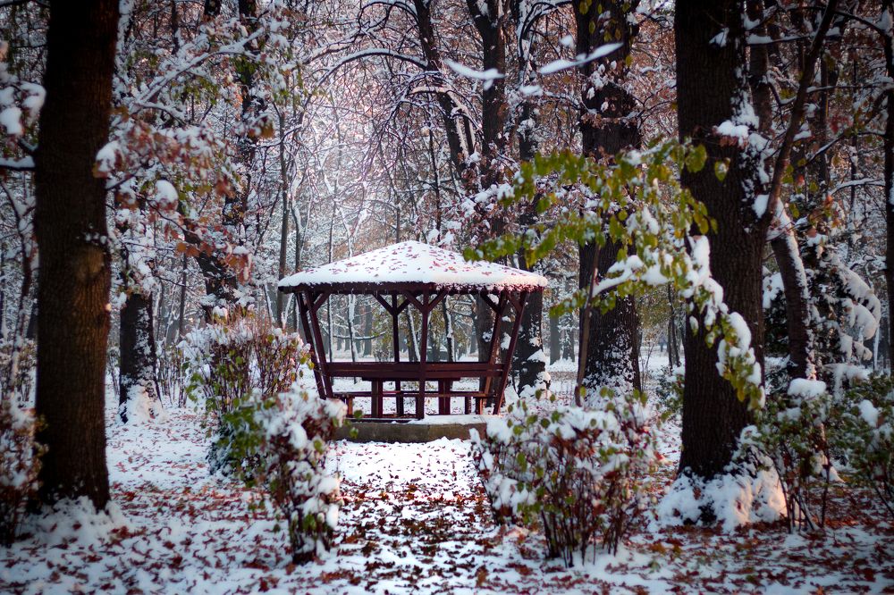 Photograph by Radoslav Bonev