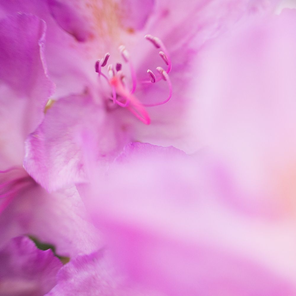 Photograph by María Marcos