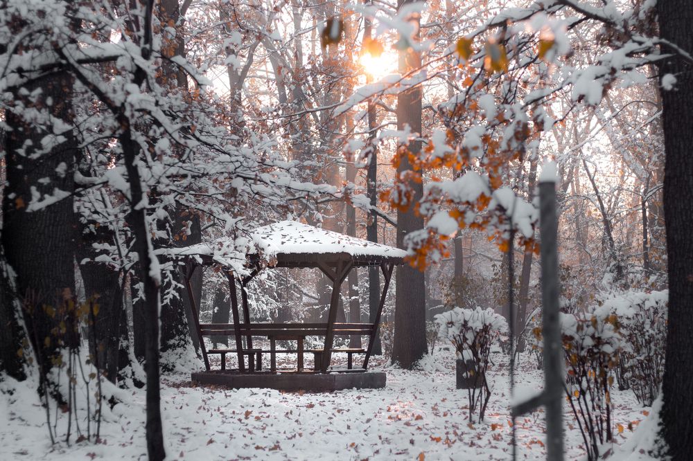 Photograph by Radoslav Bonev