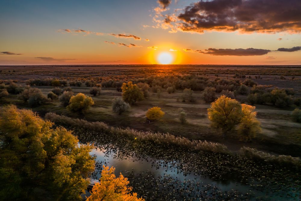 Photograph by Дмитрий Власов