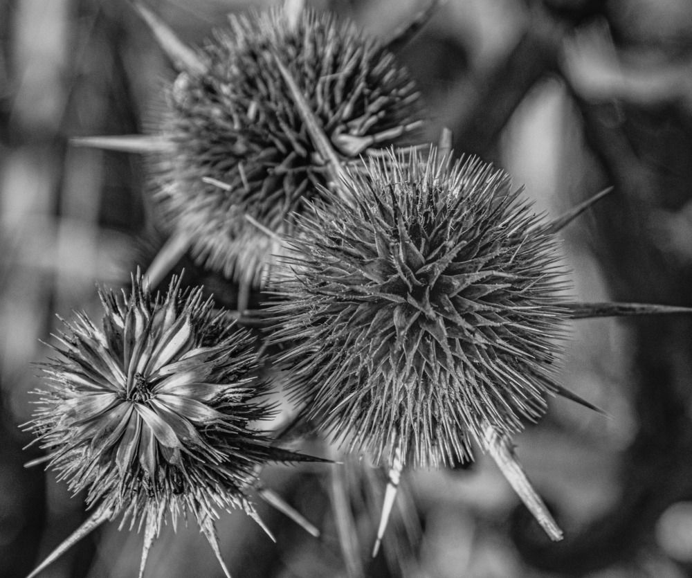 Photograph by Vitalii Kaznin