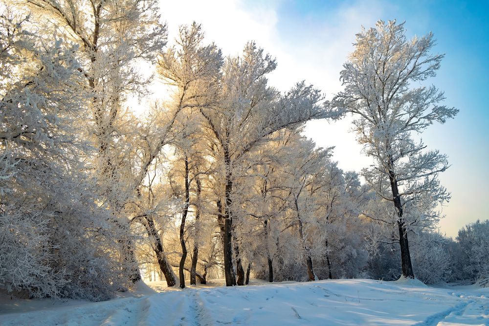 Photograph by Александр Горлов