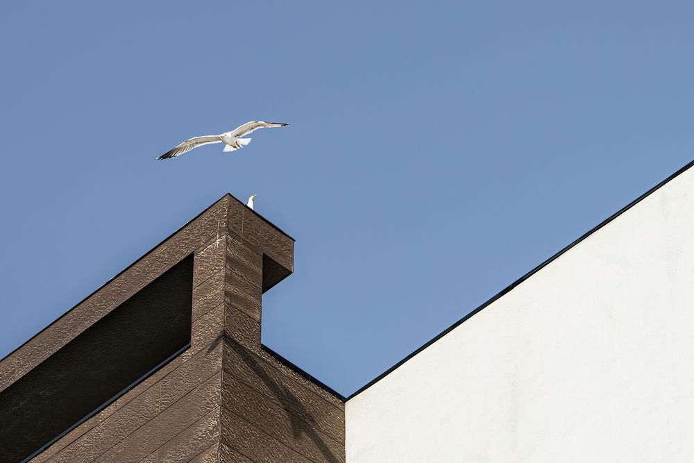 Фотография автора Fikriye Er