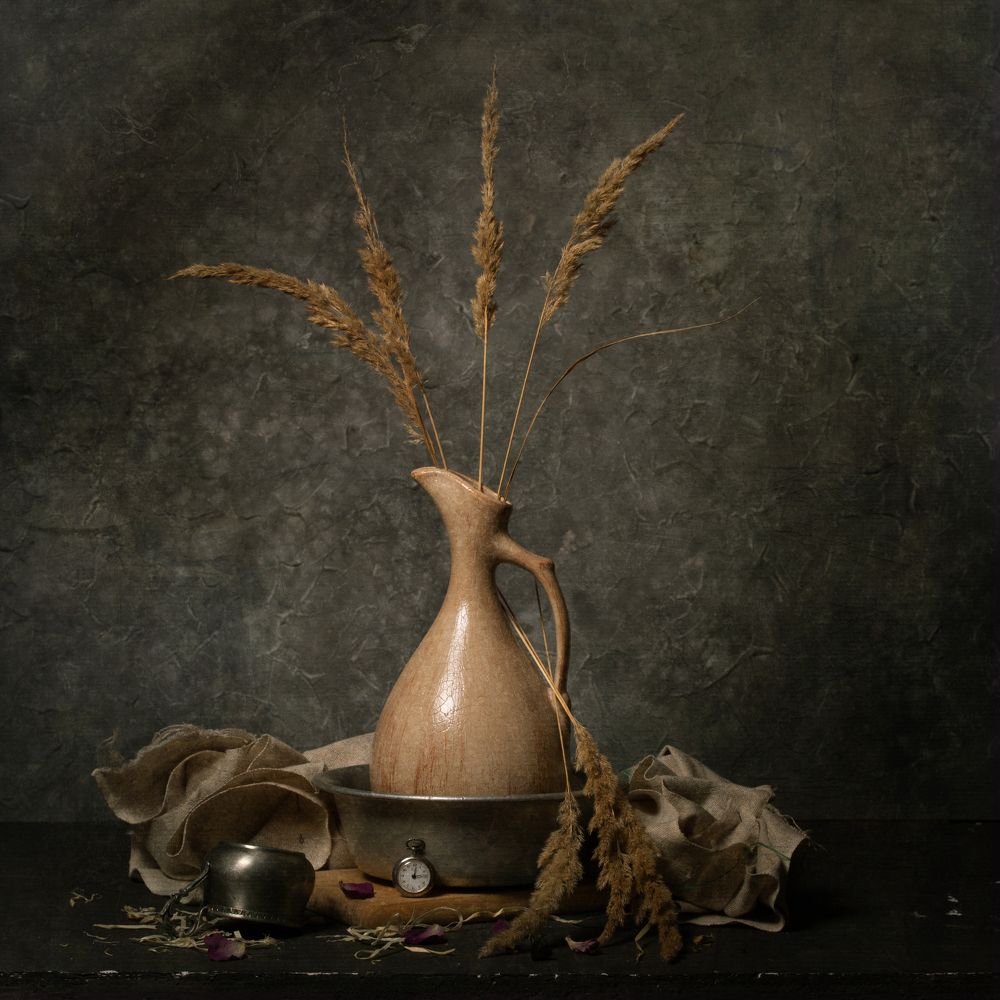 Фотография автора nolan