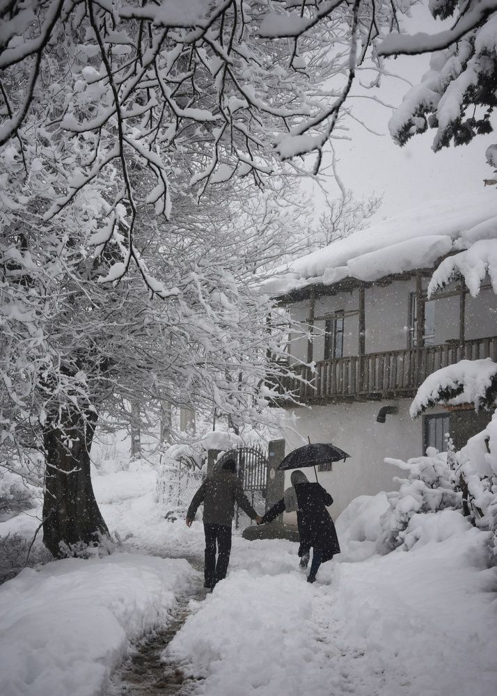 Photograph by Pourya Farajpour