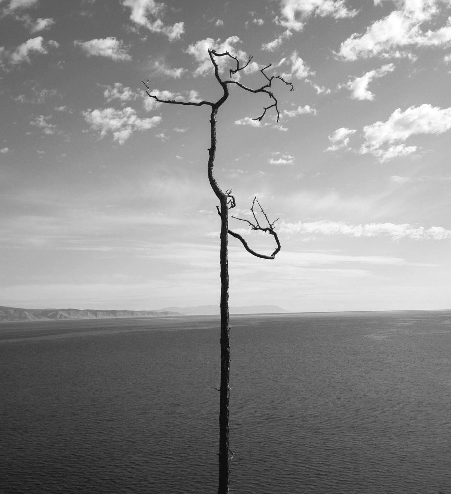 Photograph by Игорь Криулин