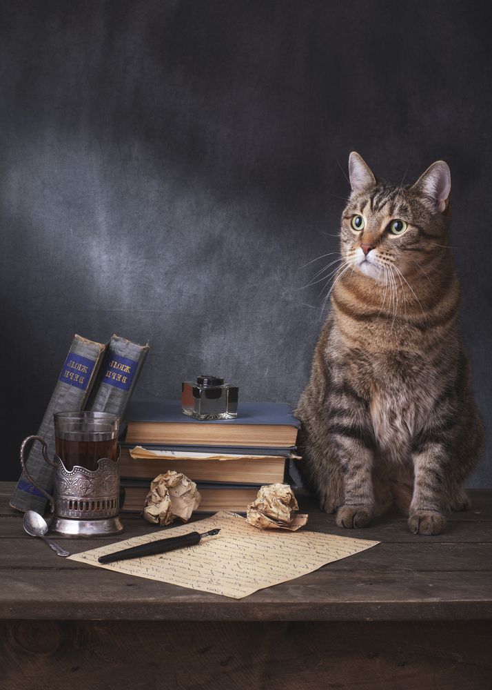 Photograph by Максим Вышарь