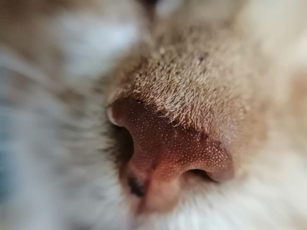 Photograph by Оля