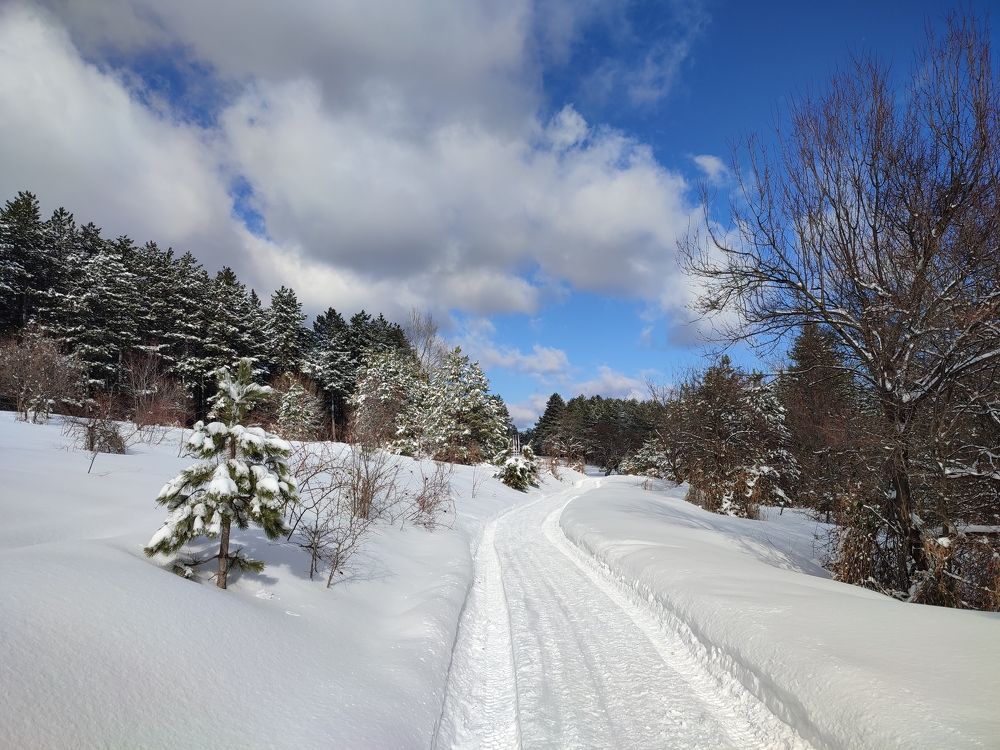 Photograph by Ljiljana Nedeljković