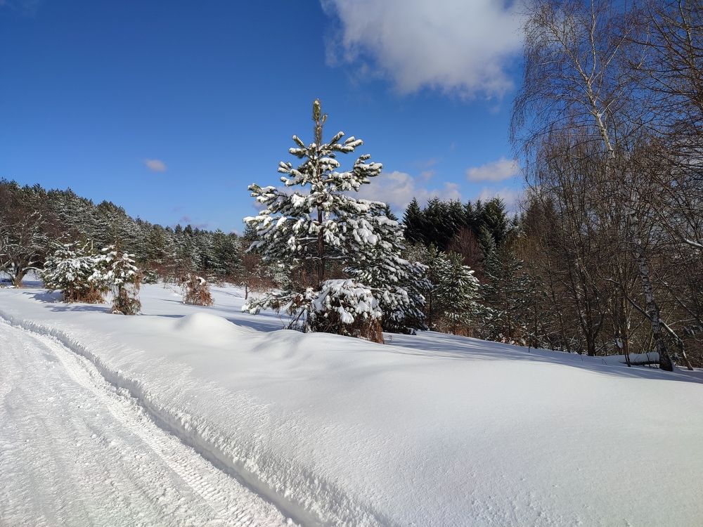 Photograph by Ljiljana Nedeljković