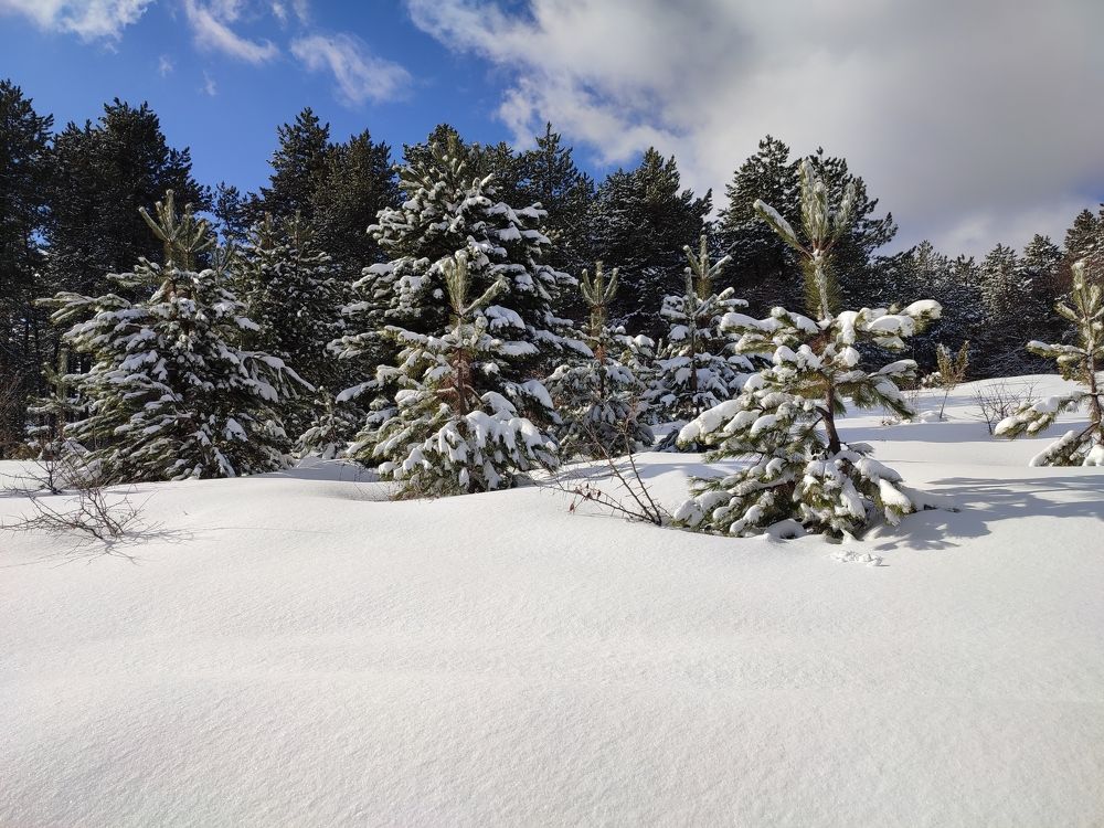 Photograph by Ljiljana Nedeljković