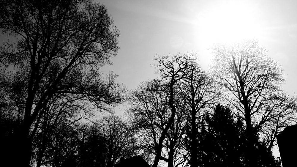 'Coming back in the sweet neighborhood where i lived from october of 2003 to january of 2020: Lille Fives. (15) One last breath.'