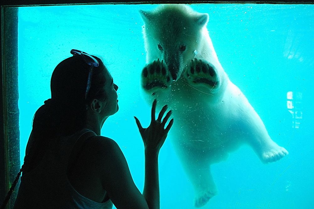 ДАВАЙ  ДРУЖИТЬ