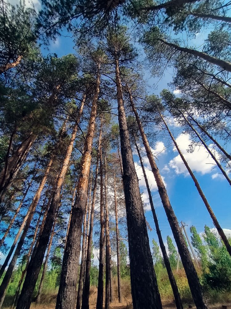 Photograph by Анастасия Яковлева