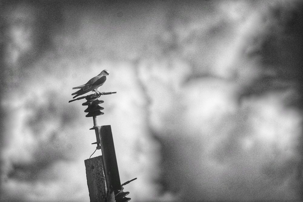 Nature's Destruction Portrayed Indirectly