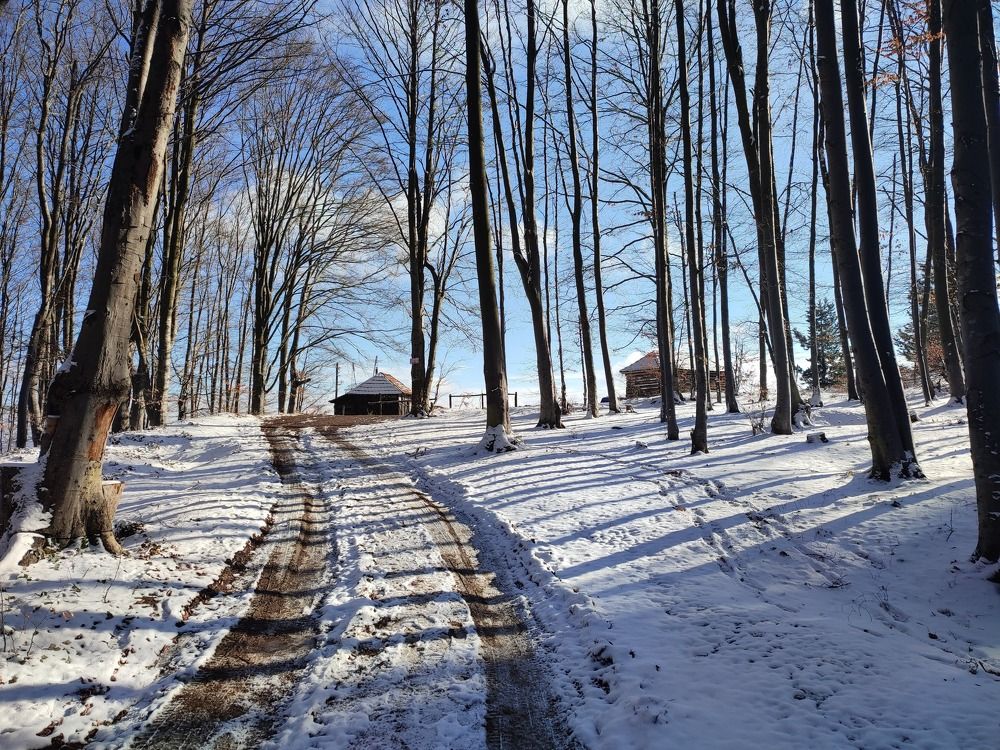 Fotografija  Zima na planini