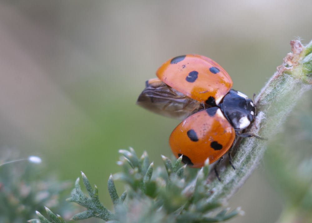 Photograph by Яна Соболева