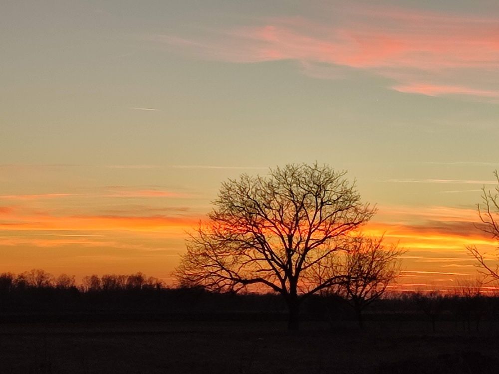 Photograph by Ljiljana Nedeljković