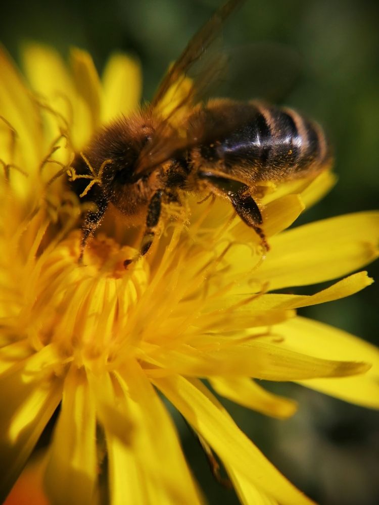 Photograph by Оля