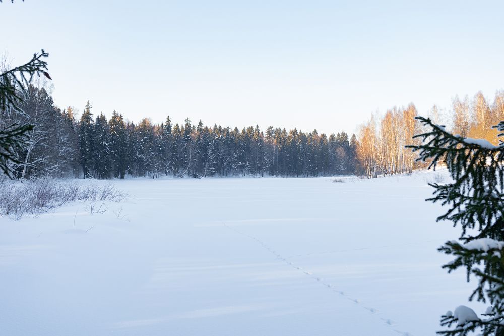 Photograph by Мария Паина