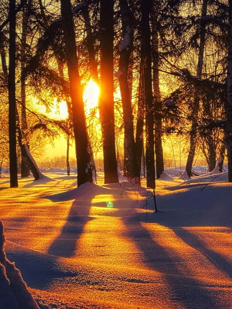 Photograph by Яна Лугинина