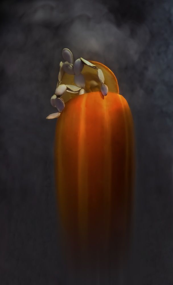 Фотография автора Черновол Валентин