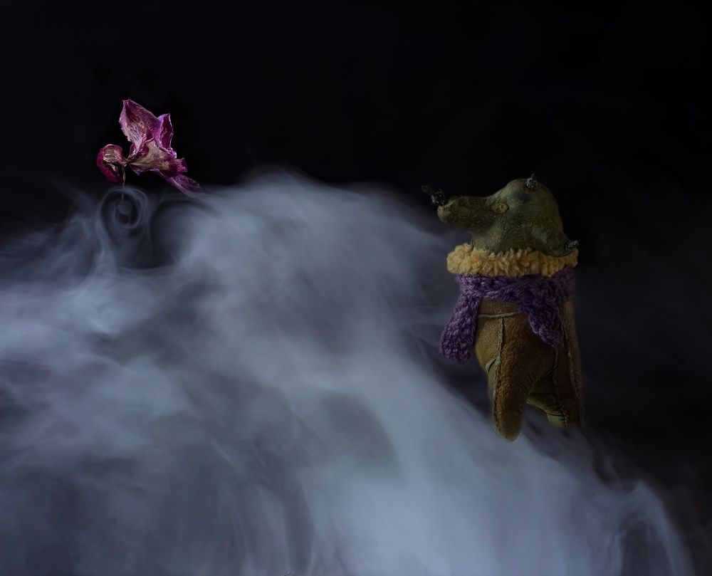 Фотография автора Черновол Валентин