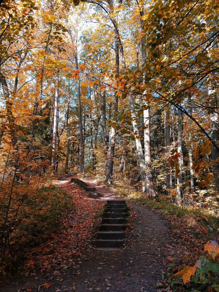 Photograph by Анна