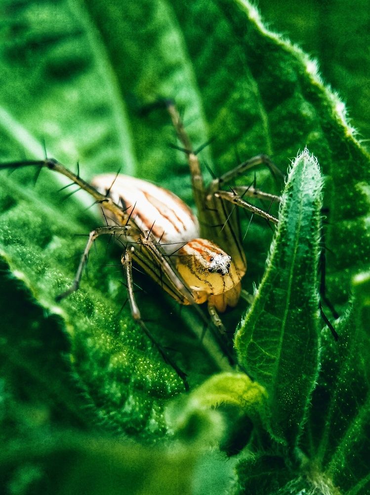 Photograph by Feri Fikri