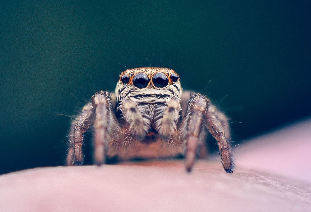 Photograph by Олеся zme