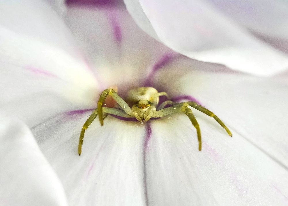 Photograph by Олеся zme