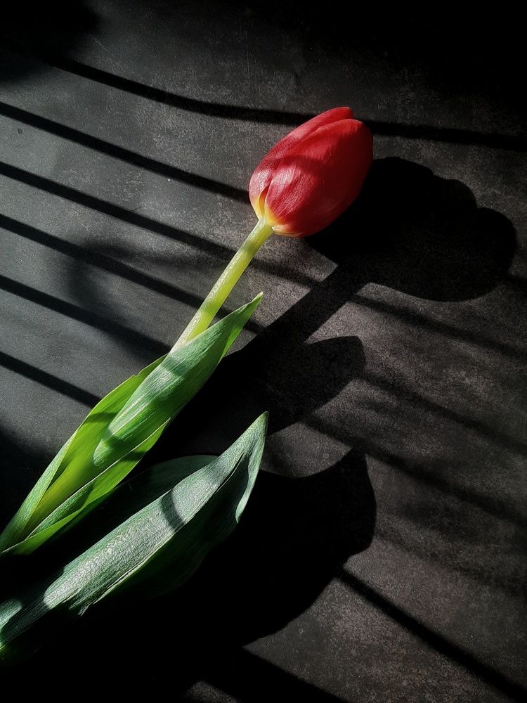 Photograph by Оксана Корепанова