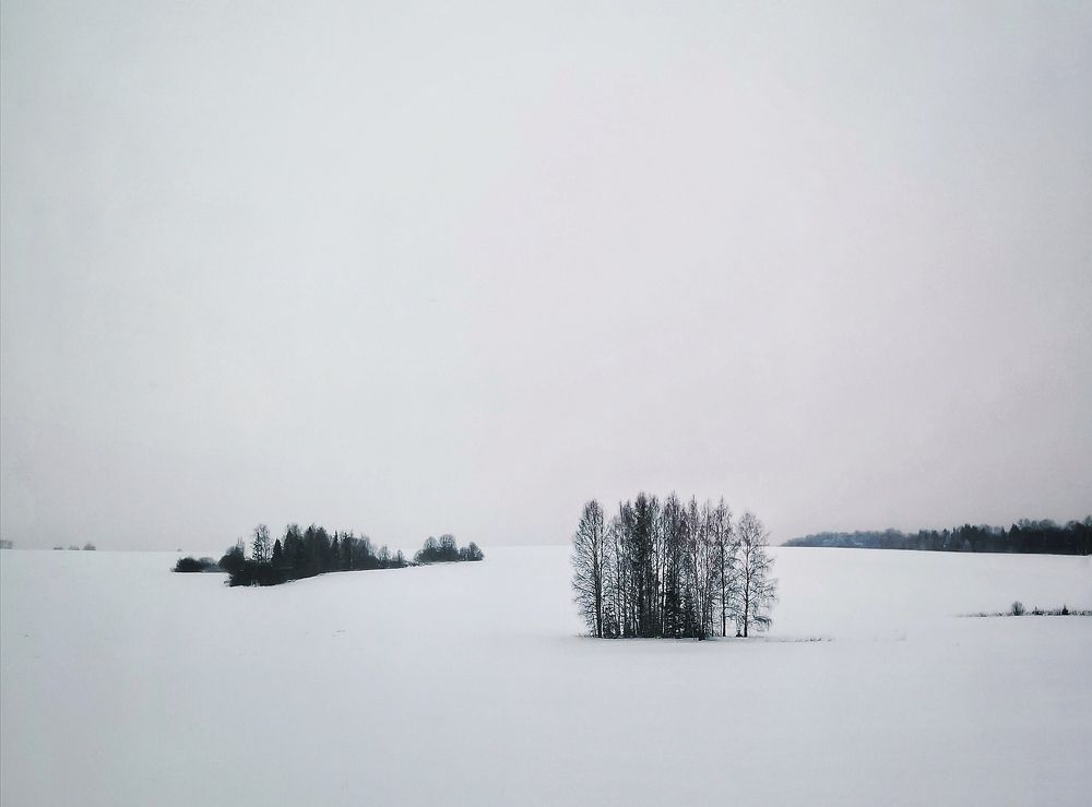 Photograph by Antonina Marchenko