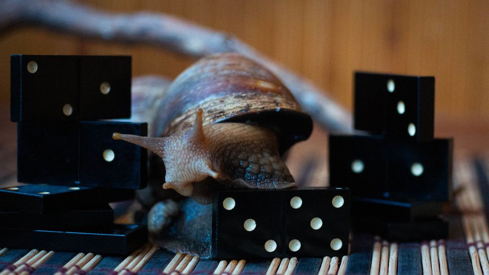 Photograph by Ирина Кошлюнова