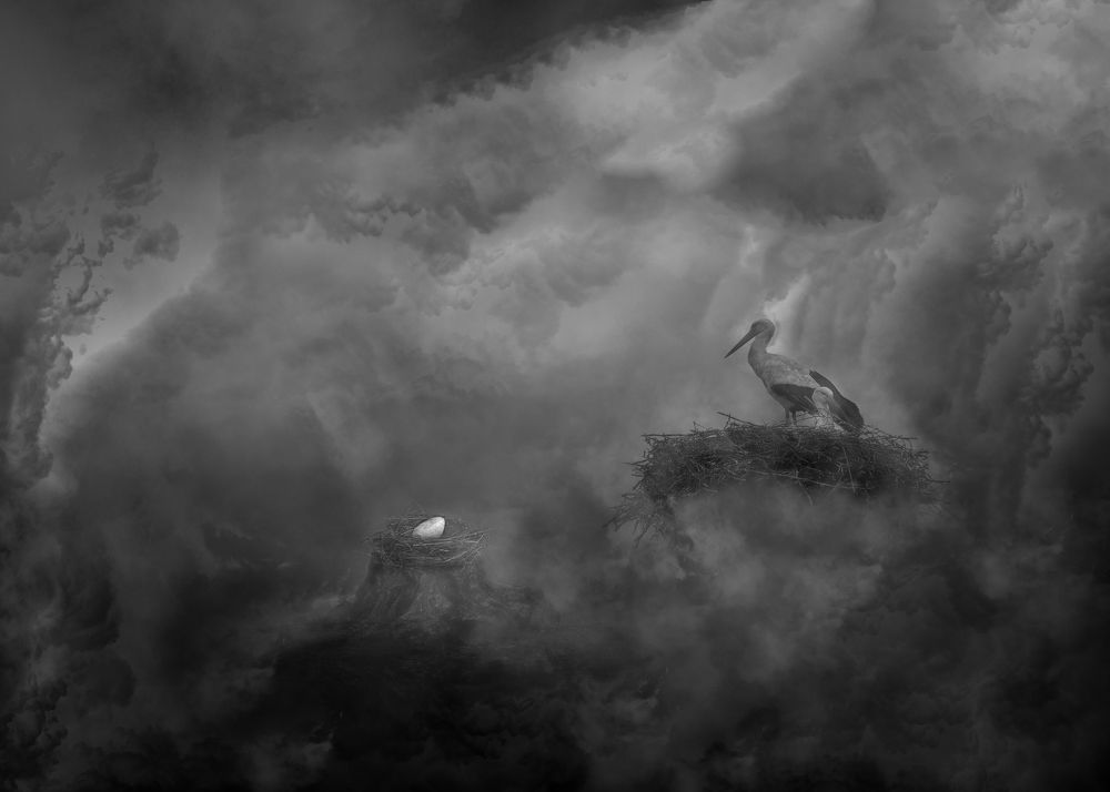 Photograph by Виктор Холодов