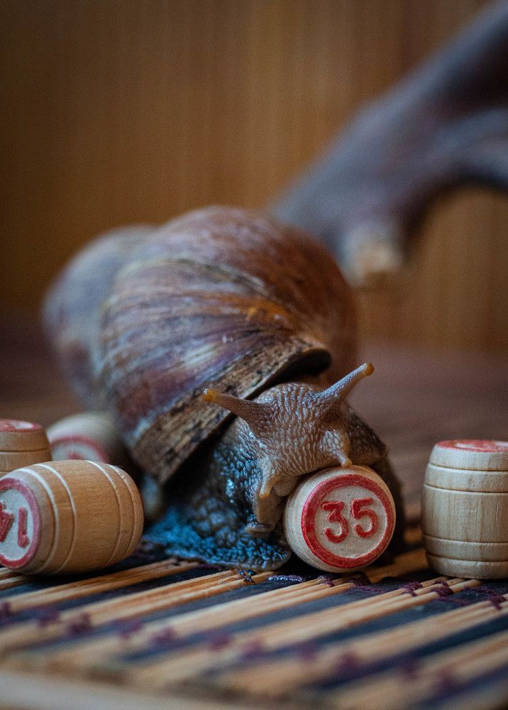 Photograph by Ирина Кошлюнова