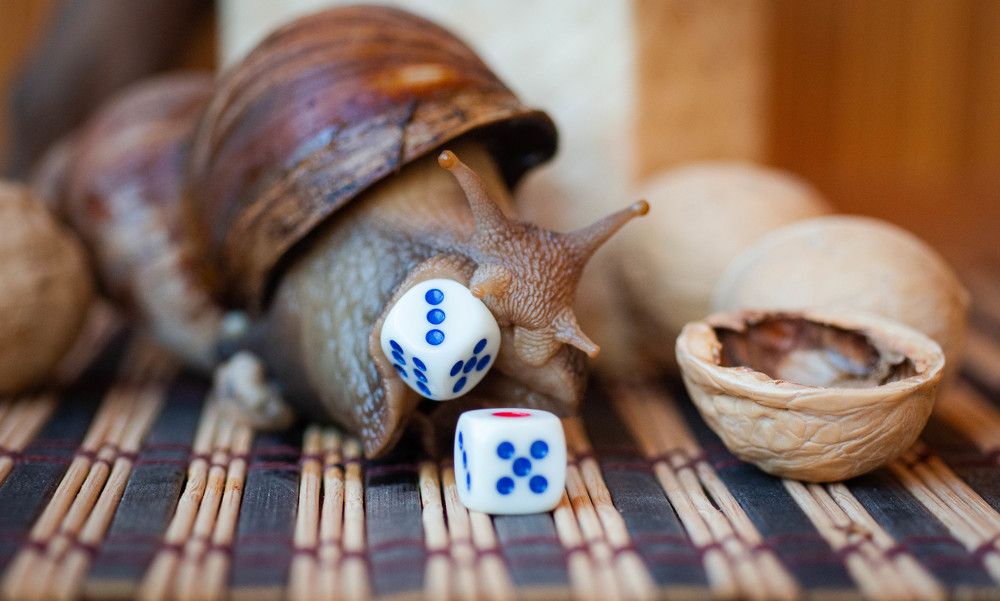 Photograph by Ирина Кошлюнова