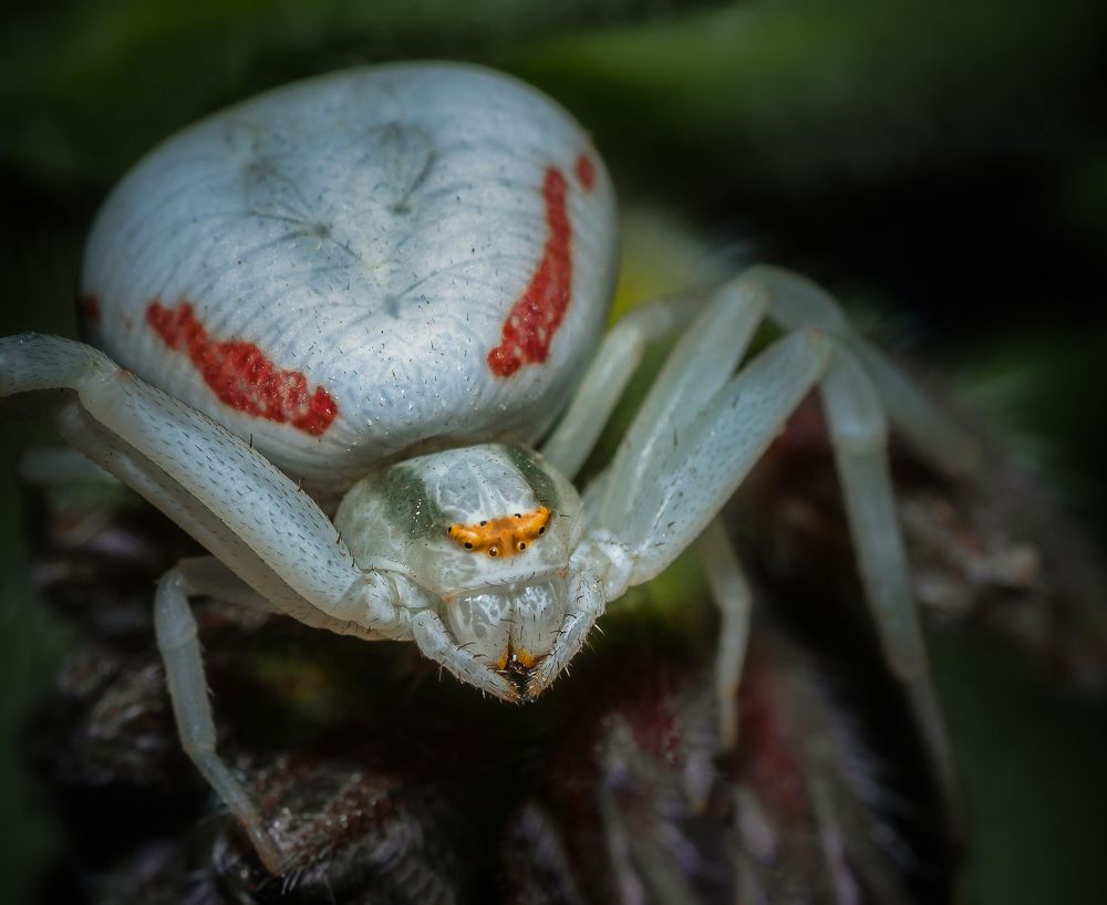 Фотография автора Константин Яковлев