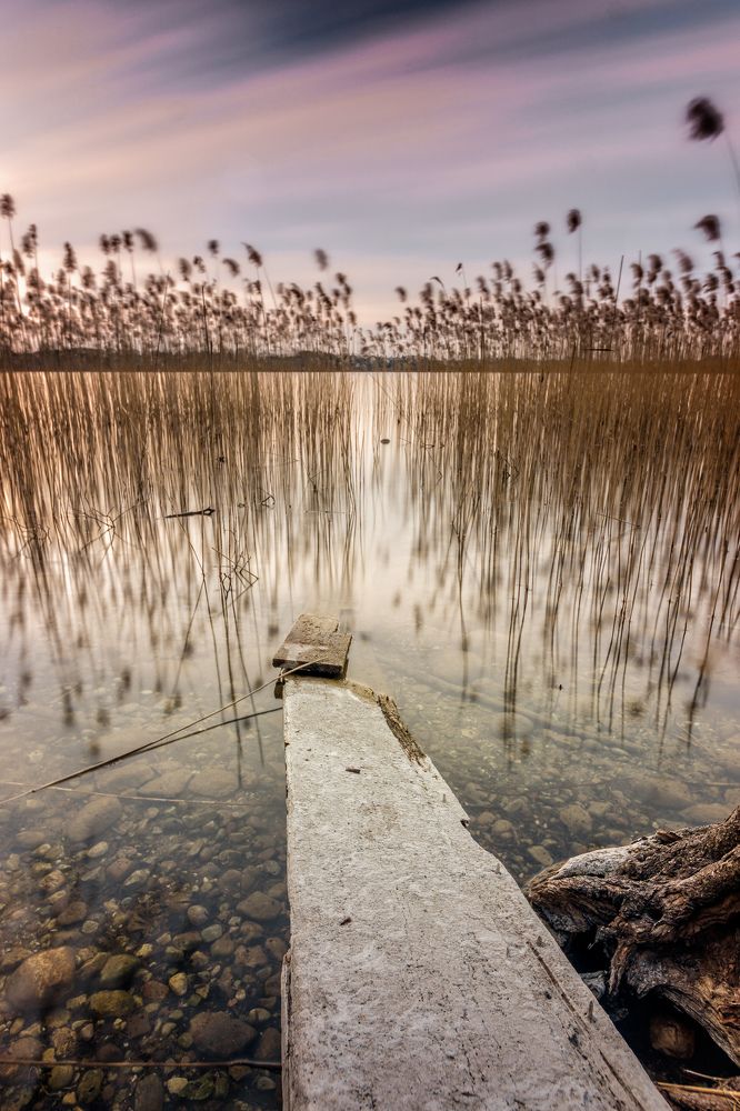 Photograph by Sebastian Piórek