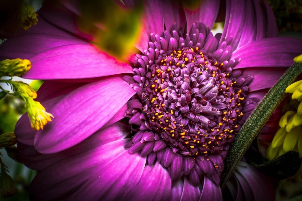 Photograph by Sanja Ristivojevic