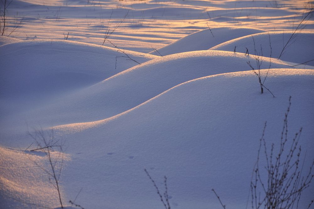 Photograph by Ольга Струкалина