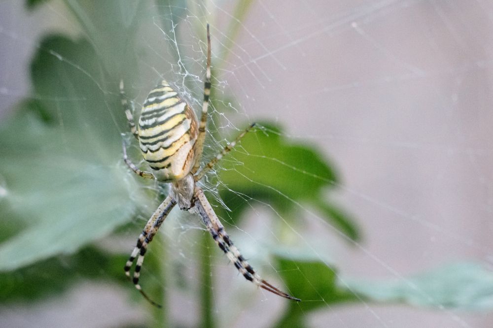 Фотография автора Masl Tatyana