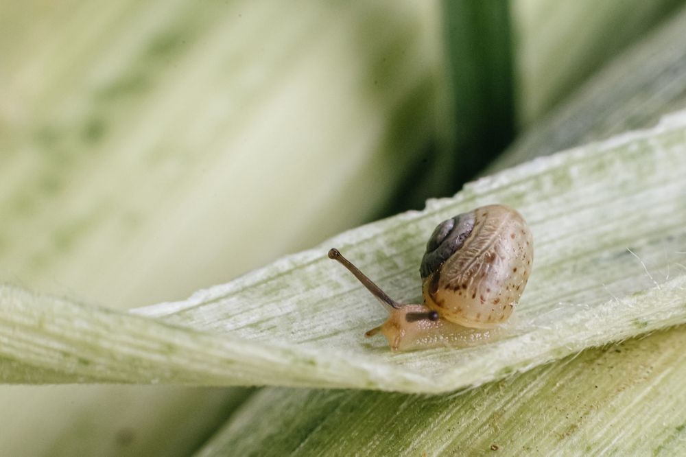 Фотография автора Masl Tatyana