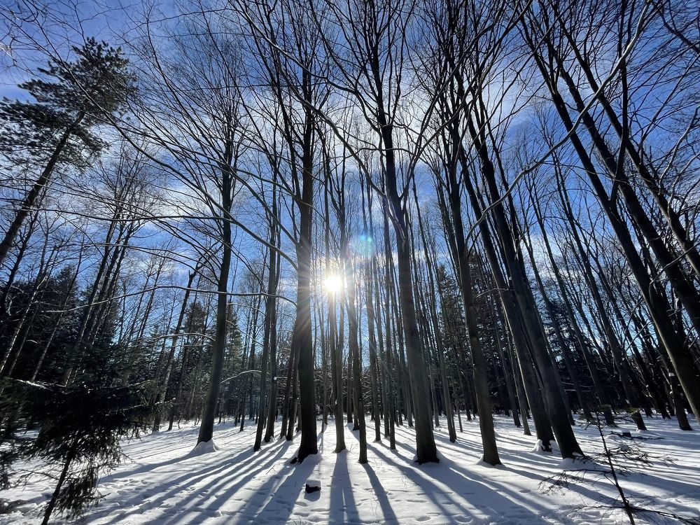 Photograph by Сослан Тараев