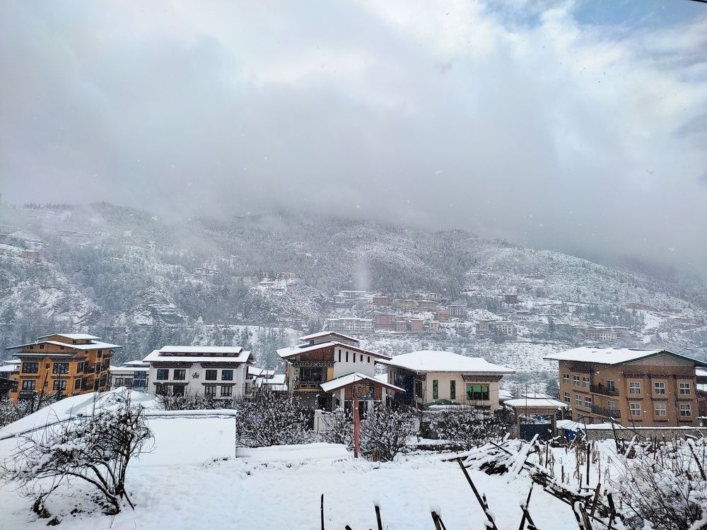 Photo #7163312