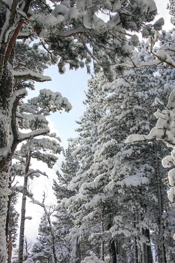 Photograph by Natalia Safronova