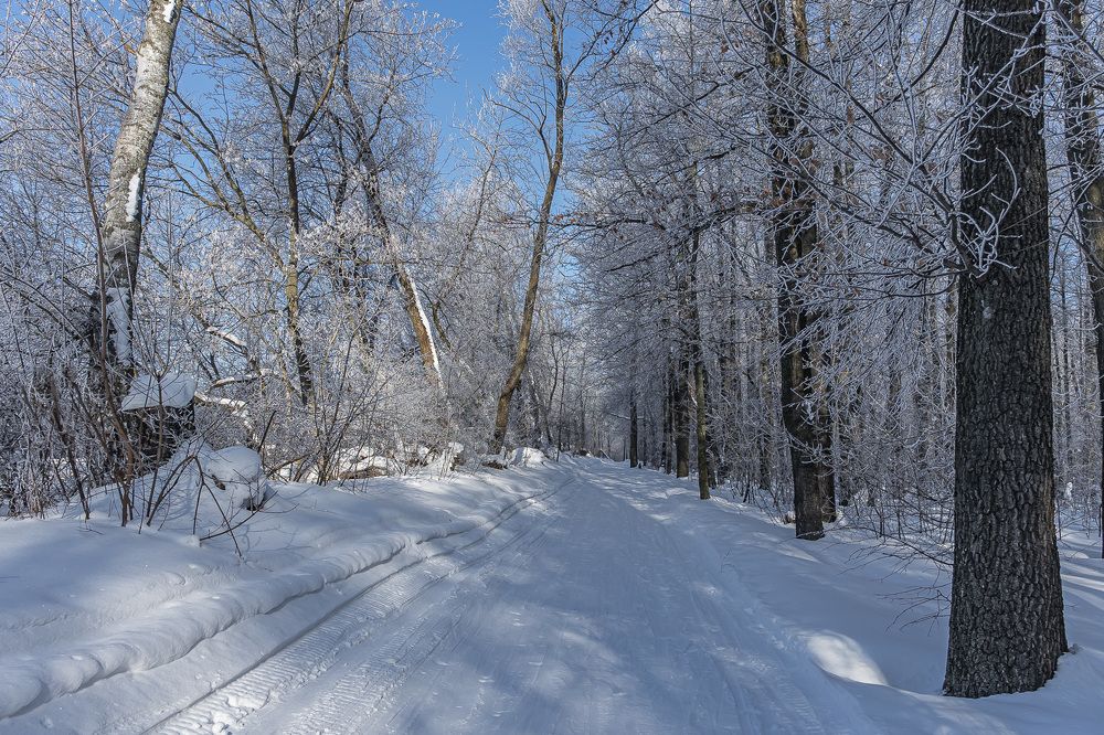 Фотография автора Николай Бологов