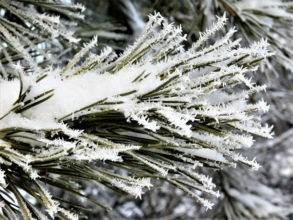 Photograph by Чкареули Светлана