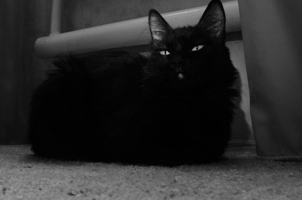 Photograph by Ксения Бочкова