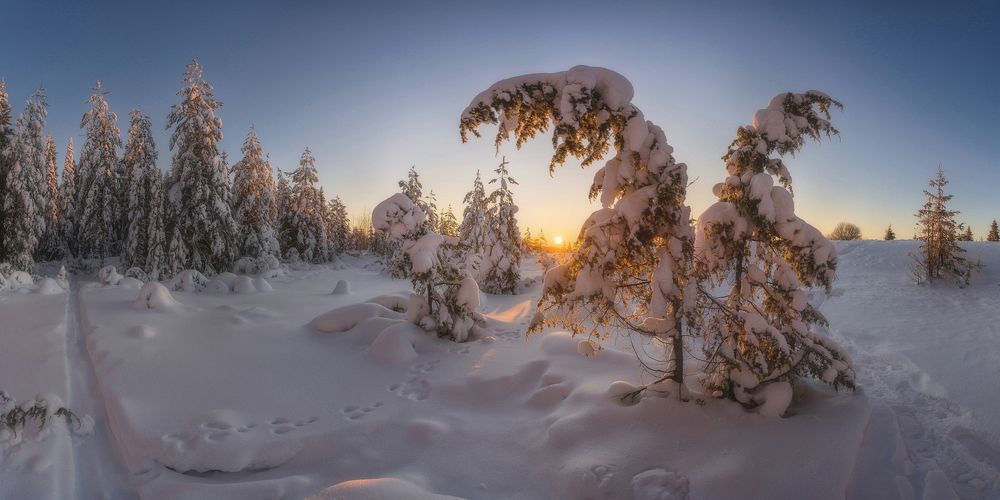 Photograph by Устюжанин Михаил